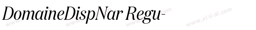 DomaineDispNar Regu字体转换